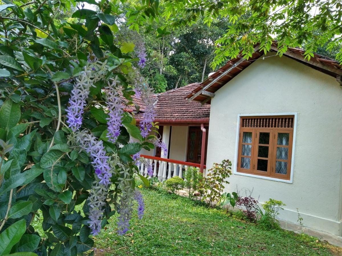 The Pepper Cottage Gomagoda Exterior foto