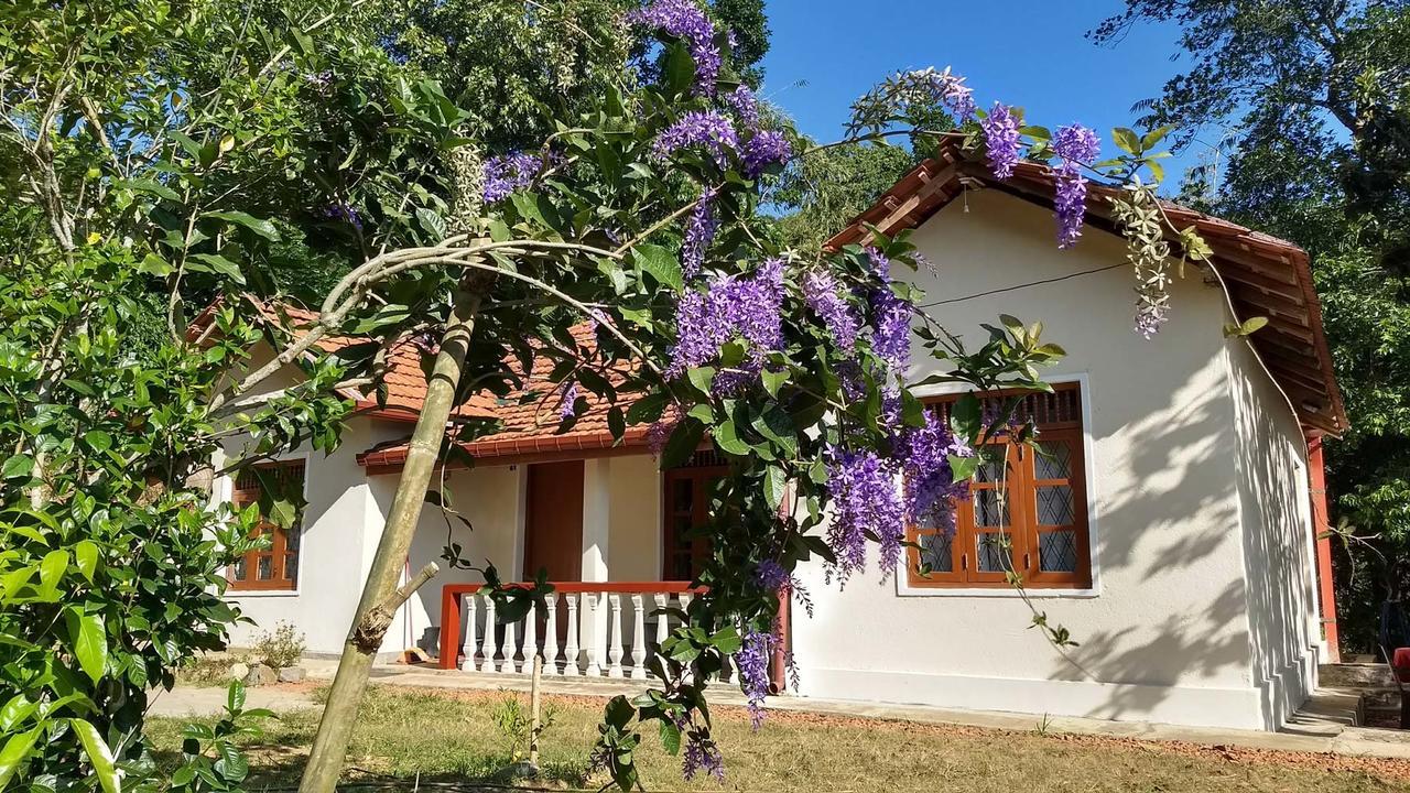 The Pepper Cottage Gomagoda Exterior foto